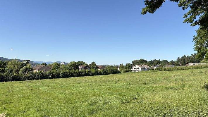 Blick vom Mauracher Berg