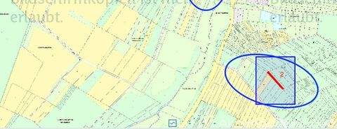 Marpingen Bauernhöfe, Landwirtschaft, Marpingen Forstwirtschaft