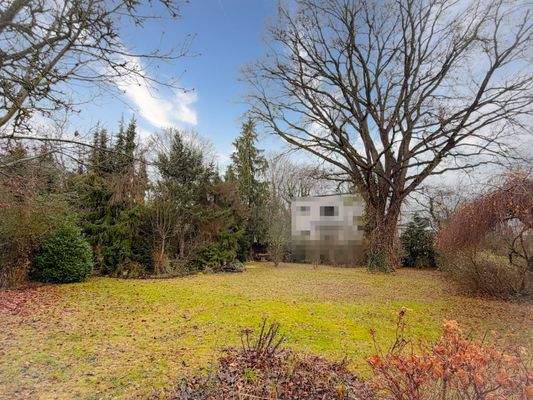 Blick zum hinteren Grundstücksbereich