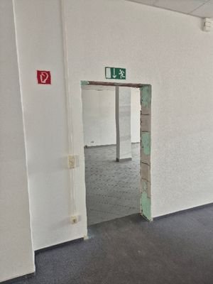 20250508_132913.jpg