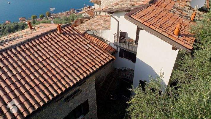 Still 2024-10-25 204719_2.2.3 (WEB).jpg