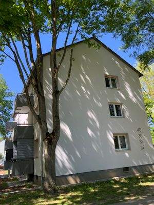 Seitenansicht Gebäude mit Begrünung und Fenstern 