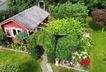 image00009.jpeg