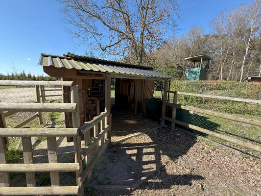 Bildschirmfoto 2025-09-18 um 16.43.44.png