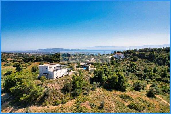 d811b83c298c4525b1185fa40b20bdd7-original