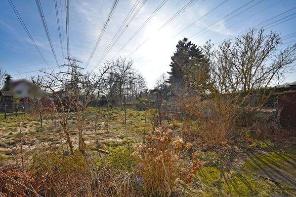 sonniges Baugrundstück