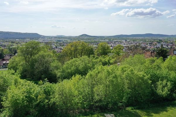 Panoramablick über Neumarkt