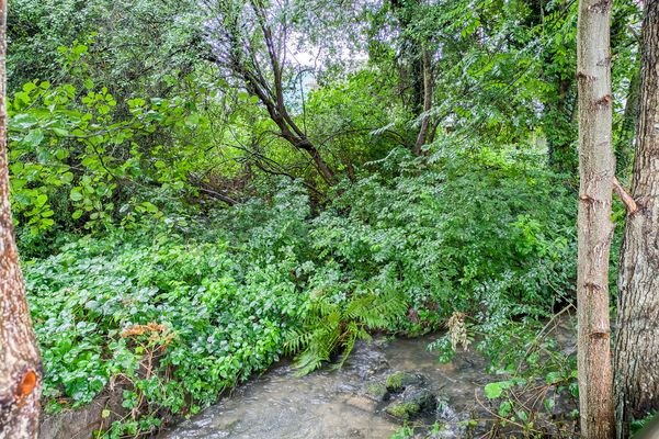 Blick-Garten-Ost-Erdbach