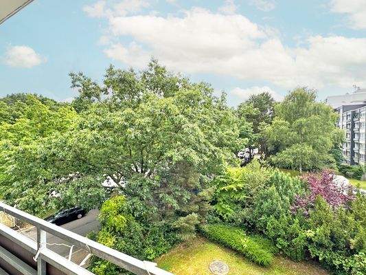 Das Laerholz in der Nähe