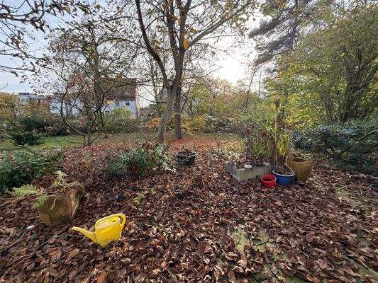 Blick vom Wohnzimmer in den Garten
