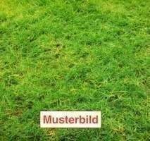 Usingen Grundstücke, Usingen Grundstück kaufen