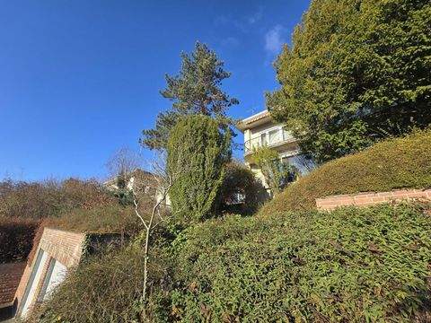 Triefenstein Häuser, Triefenstein Haus kaufen