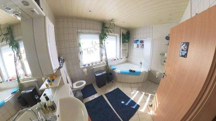 Snapshot_20260376_120370