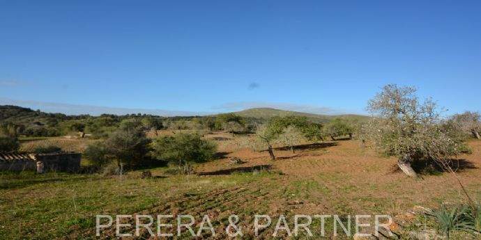 17---Fincagrundstück-I