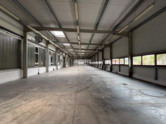 Hallenfläche 800m²