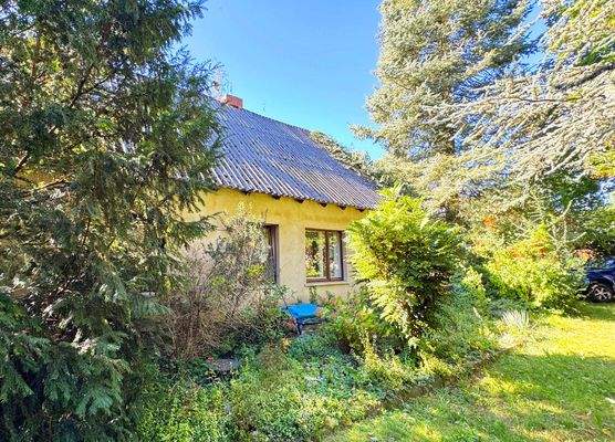 rundherum von der Natur umarmt