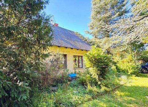 Osterburg (Altmark) Häuser, Osterburg (Altmark) Haus kaufen