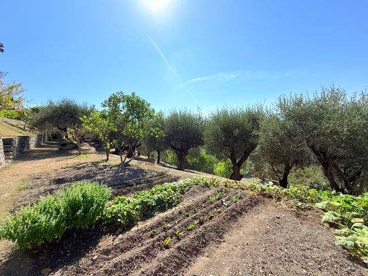 BO_1045_TERRA ITALIA IMMOBILIEN_REAL ESTATE_SEBORG