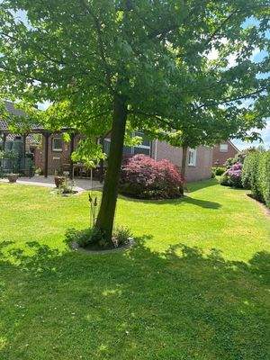 liebevoll angelegter Garten