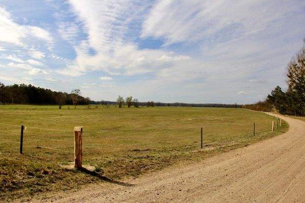 Blick aus dem Atelier-Fenster