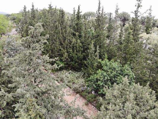 Kreta, Patima: Erstklassiges Baugrundstück mit Meer- und Bergblick nahe Georgioupoli zu verkaufen
