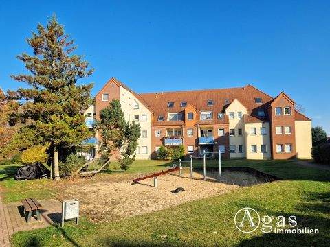 Müncheberg Wohnungen, Müncheberg Wohnung kaufen