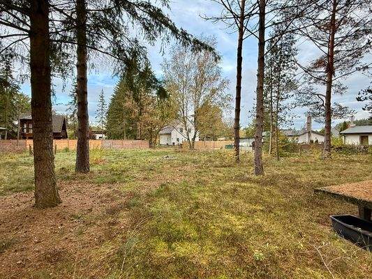 Blick über das Grundstück