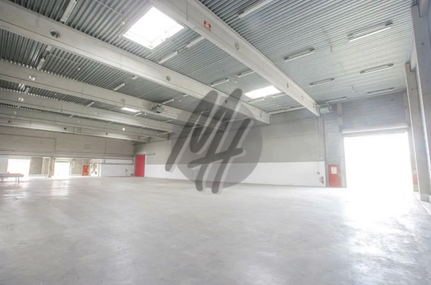 INFOS UNTER: 06171-586000