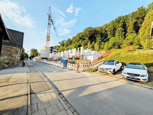 Bautenstand 25.05.2025