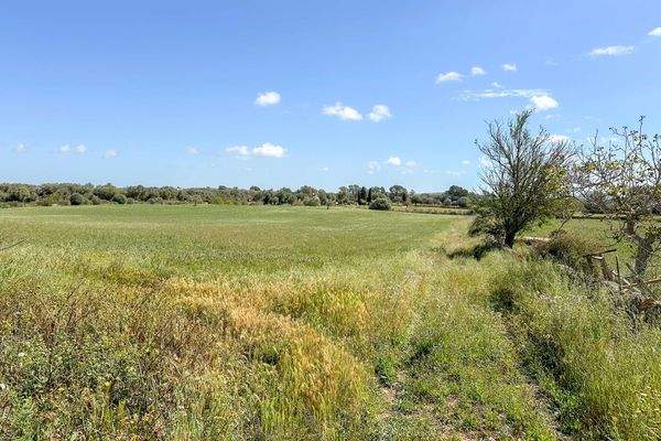 Wünderschöne Natur