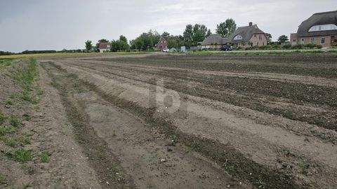 Fehmarn Grundstücke, Fehmarn Grundstück kaufen