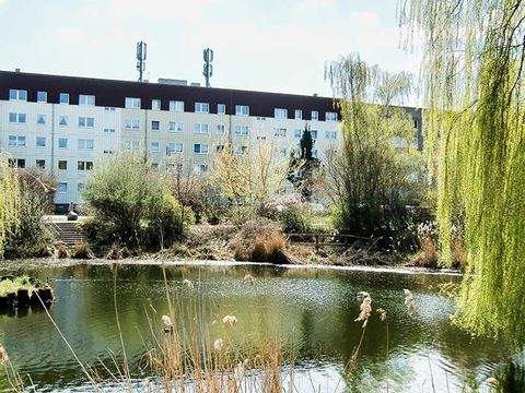 Prenzlau Wohnungen, Prenzlau Wohnung mieten