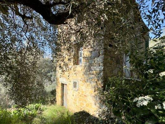 DA959_07 TERRA ITALIA IMMOBILIEN_LIGURIEN_STONE HO