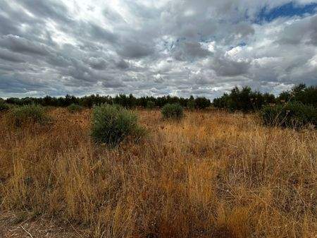 WhatsApp Bild 2025-09-29 um 15.17.17_aaaaf363