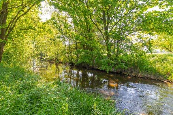 Am Greifenhainer Fließ