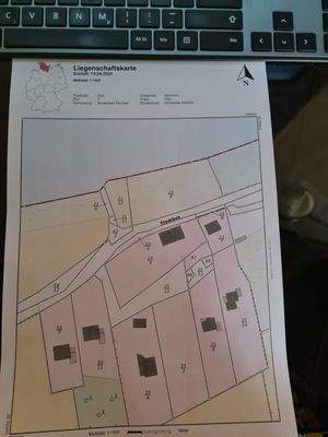 PHOTO-2026-02-19-21-16-49 3.jpg