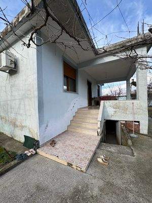 WhatsApp Image 2025-12-29 at 13.02.27.jpeg