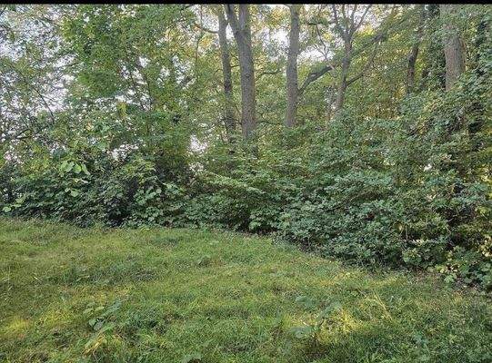 Blick auf das Grundstück 