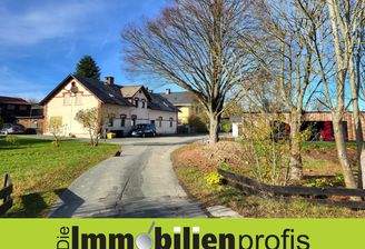 1135 - Titelbild
