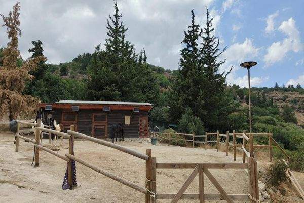 Kreta, Pemonia: Ruhiges und weitläufiges Anwesen zu verkaufen