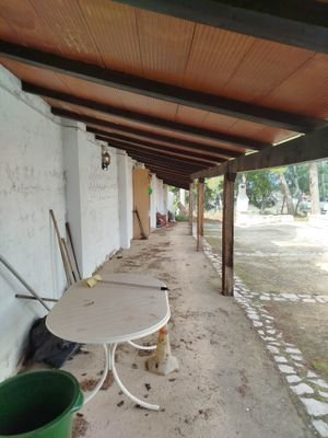 38.jpg