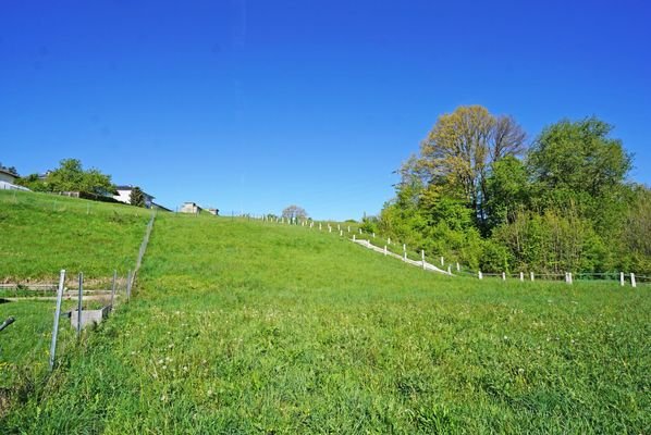 Blick hangaufwärts von Ost nach Nordwest