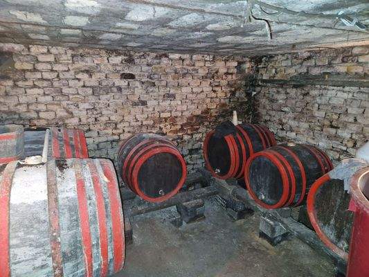 20240226_121551 (1).jpg