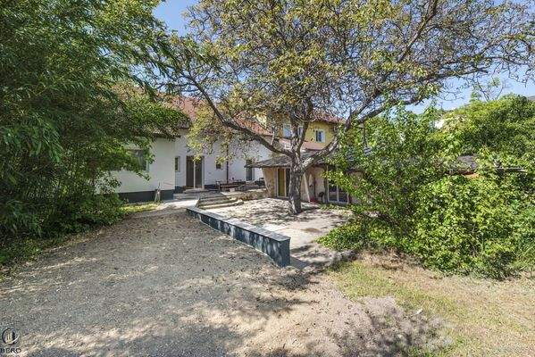 Garten Richtung Haus