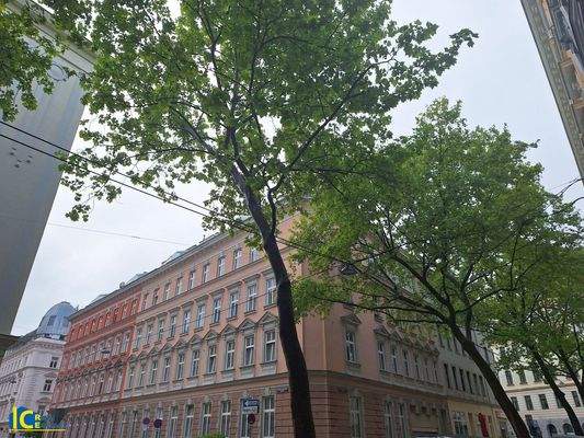 Stilaltbau in Grünruhelage