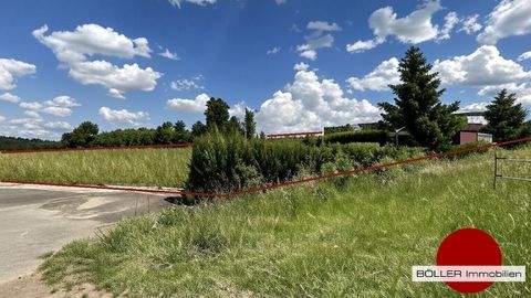 Lauf an der Pegnitz Häuser, Lauf an der Pegnitz Haus kaufen