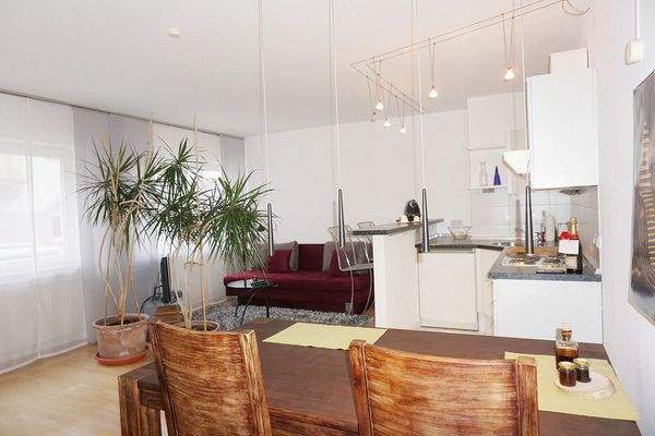 offener Wohn-/Schlafbereich