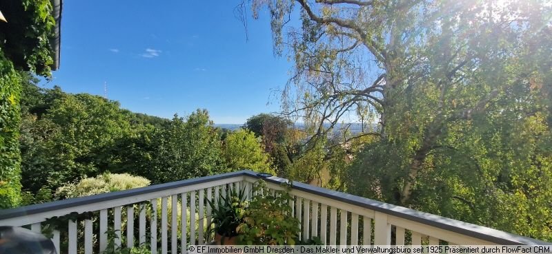 Ausblick Balkon 1OG (1)