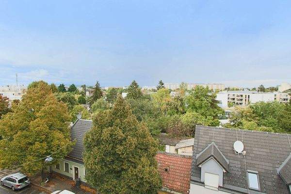 Ausblick Vorzimmer/Küche