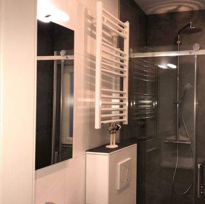EG Badezimmer 2.jpg